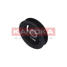 Achetez des Poulie damper de chez KAMOKA en ligne pour 7 (E38) à prix modérés