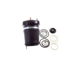 Compre Mola pneumática da DENCKERMANN DSA109G a um preço baixo por 361,25 €