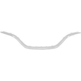 Acquista Mostrina, Griglia radiatore da DIEDERICHS 4406242 a buon mercato per soli 47,53 €