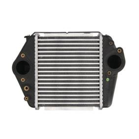 Acquista Intercooler da THERMOTEC online per 6 Station wagon (GH) a prezzi moderati