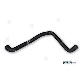 Kühlerschlauch P326033 von PREXAparts günstig für 5,04 € online kaufen