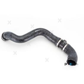 Kühlerschlauch P326293 von PREXAparts günstig für 16,69 € online kaufen