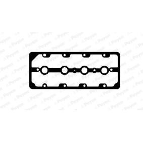 Comprar Junta, tapa de culata de cilindro de PAYEN JM7197 a bajo precio de 16,79 €