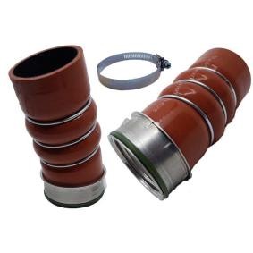 Achetez des Durite de turbo de chez BUGIAD en ligne pour 6 Coupé (F13) à prix modérés