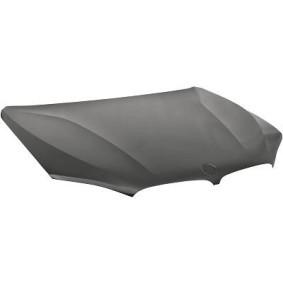Comprar Capó de DIEDERICHS 1293000 a bajo precio de 810,65 €
