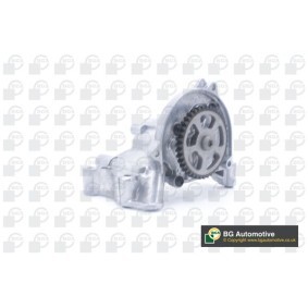 Acquista Pompa olio da BGA LP0110 a buon mercato per soli 132,94 €