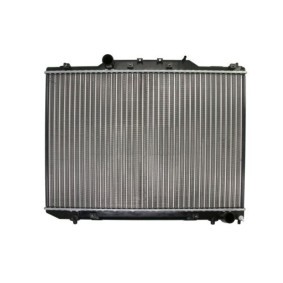 Compre Radiador de THERMOTEC online para Picnic (_XM1_) a preços moderados