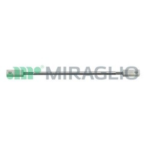 Compre Puerta trasera de MIRAGLIO online para FIORINO (147) a precios moderados