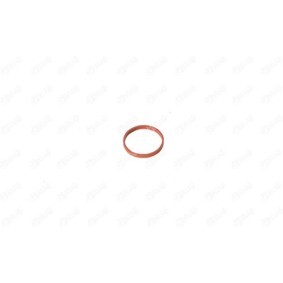 Compre Retentor, tubo do ar de sobrealimentação da IBRAS 11134 a um preço baixo por 5,82 €