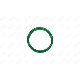 Compre Retentor, tubo do ar de sobrealimentação da IBRAS 35073 a um preço baixo por 6,05 €