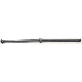 Compre Caixa, eixo motor da LÖBRO GKNP20048 a um preço baixo por 861,85 €