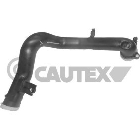 Compre Tubo flexível do ar de sobrealimentação da CAUTEX 016781 a um preço baixo por 62,84 €
