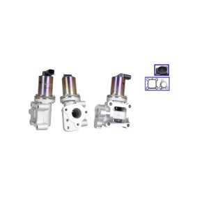Compre Válvula EGR da DRI 717720384 a um preço baixo por 100,39 €