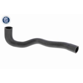 Kühlerschlauch A32-1603 von ACKOJA günstig für 14,51 € online kaufen