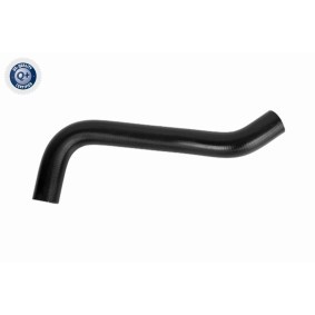 Kühlerschlauch A52-1613 von ACKOJA günstig für 13,84 € online kaufen