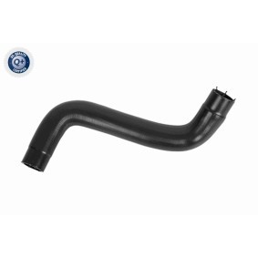 Kühlerschlauch A70-1604 von ACKOJA günstig für 18,30 € online kaufen