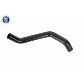Kühlerschlauch A70-1606 von ACKOJA günstig für 17,89 € online kaufen