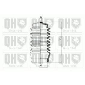 Comprar Fuelle dirección de QUINTON HAZELL QG1377 a bajo precio de 18,53 €