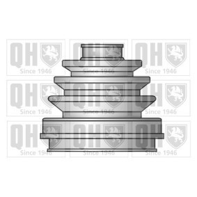 Compre Jogo de foles, veio de transmissão da QUINTON HAZELL QJB368 a um preço baixo por 10,95 €