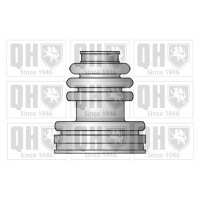 Comprar Juego de fuelle, árbol de transmisión de QUINTON HAZELL QJB605 a bajo precio de 14,03 €
