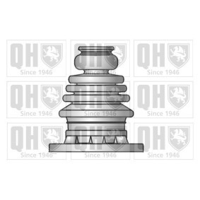 Compre Jogo de foles, veio de transmissão da QUINTON HAZELL QJB668 a um preço baixo por 18,14 €