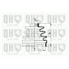 Compre Jogo de foles, veio de transmissão da QUINTON HAZELL QJB812 a um preço baixo por 4,98 €