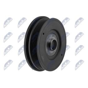 Achetez des Poulie damper (vilebrequin) NTY RKP-PL-004 à prix pour 88,01 €