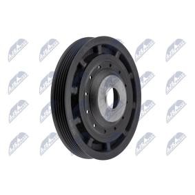 Achetez des Poulie damper (vilebrequin) NTY RKP-RE-004 à prix pour 45,60 €