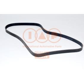 Keilrippenriemen 140-14080 von IAP QUALITY PARTS günstig für 64,16 € online kaufen