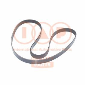 Keilrippenriemen 140-17058 von IAP QUALITY PARTS günstig für 73,71 € online kaufen
