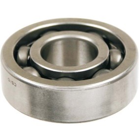 Compre Rolamento, veio primário da RMS 10 020 0250 a um preço baixo por 9,79 €