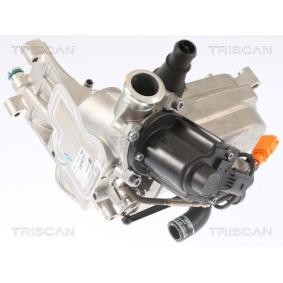 Compre Válvula EGR da TRISCAN 8813 29321 a um preço baixo por 1064,61 €