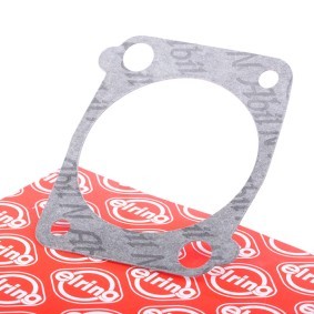 Compre Junta de coletor de admissão de ELRING online para Chevy C1 Hatchback a preços moderados