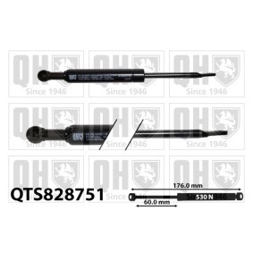 Gasfeder, Heckscheibe QTS828751 von QUINTON HAZELL günstig für 23,67 € online kaufen
