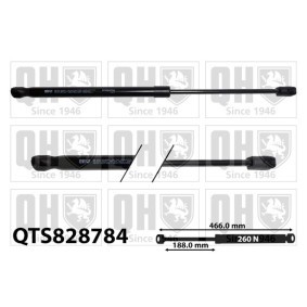 Acquista Ammortizzatore pneumatico cofano motore da QUINTON HAZELL QTS828784 a buon mercato per soli 64,44 €