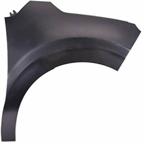 Acquista Parafango da DIEDERICHS online per C3 III Van / Hatchback (SX, SY) a prezzi moderati