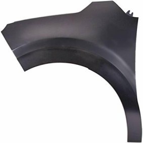 Acquista Parafango da DIEDERICHS online per C3 III Van / Hatchback (SX, SY) a prezzi moderati