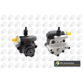 Comprar Bomba de dirección de BGA PSP4202 a bajo precio de 137,25 €