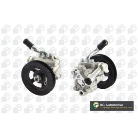 Compre Bomba de direção da BGA PSP6309 a um preço baixo por 139,69 €
