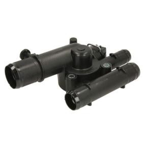 Comprar Termostato, refrigerante de THERMOTEC D2R015TT a bajo precio de 29,63 €