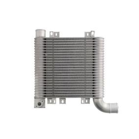 Acquista Intercooler da THERMOTEC DA05003TT a buon mercato per soli 185,07 €