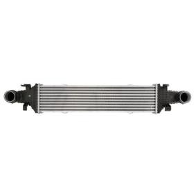 Ladeluftkühler DAM018TT von THERMOTEC günstig für 209,45 € online kaufen