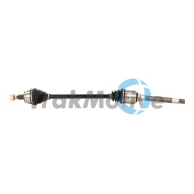 Achetez des Lève-vitre TrakMotive 26-0659 à prix pour 96,02 €
