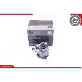 Compre Bomba de direção da ESEN SKV 10SKV242 a um preço baixo por 135,07 €