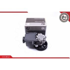 Compre Bomba de direção da ESEN SKV 10SKV269 a um preço baixo por 163,46 €