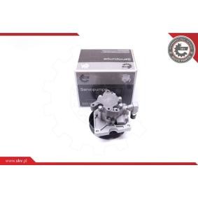 Compre Bomba de direção da ESEN SKV 10SKV270 a um preço baixo por 148,93 €