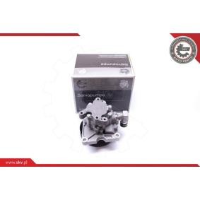 Compre Bomba de direção da ESEN SKV 10SKV272 a um preço baixo por 118,60 €