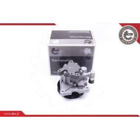 Compre Bomba de direção da ESEN SKV 10SKV273 a um preço baixo por 175,71 €