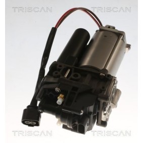 Osta Ilmajousituksen kompressori TRISCAN:llä 8725 29104 edullisesti hintaan 502,80 €