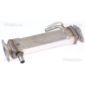 Acquista Radiatore EGR da TRISCAN 8813 15073 a buon mercato per soli 553,39 €